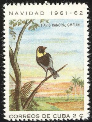 Colnect-1925-896-Melodious-Grassquit-Tiaris-canora.jpg