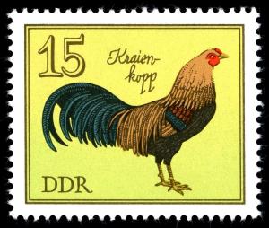 Colnect-1980-396-Kraienkopp-Gallus-gallus-domesticus.jpg