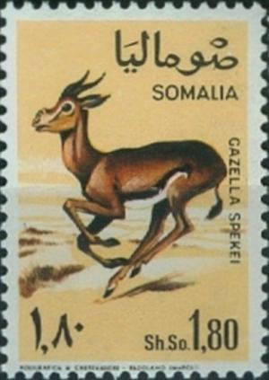 Colnect-2706-223-Speke-s-Gazelle-Gazella-spekei.jpg