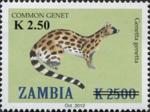 Colnect-3051-557-Common-Genet-Genetta-genetta.jpg