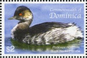 Colnect-3202-255-Black-necked-Grebe-Podiceps-nigricollis.jpg