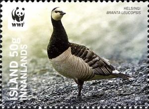 Colnect-3913-946-Barnacle-Goose-Branta-leucopsis.jpg