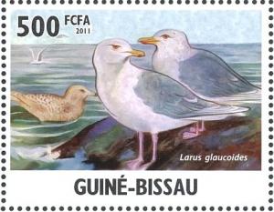 Colnect-3967-956-Glaucous-Gull%C2%A0Larus-hyperboreus.jpg