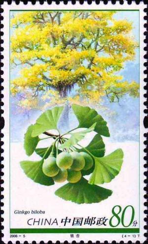 Colnect-5449-248-Ginkgo-biloba.jpg