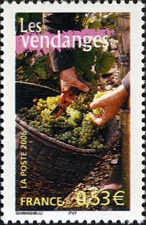 Colnect-553-644-Grape-harvest.jpg