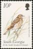 Colnect-4202-723-1999-Birds---South-Georgia-Pipit-Anthus-antarcticus.jpg