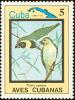 Colnect-3564-305-Melodious-Grassquit-Tiaris-canora.jpg