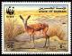 Colnect-1586-490-Sand-Gazelle-Gazella-subgutturosa-marica.jpg