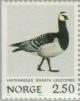 Colnect-162-074-Barnacle-Goose-Branta-leucopsis.jpg