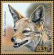 Colnect-5282-190-Golden-Jackal.jpg