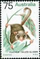 Colnect-683-131-Feathertail-Glider-Acrobates-pygmaeus.jpg