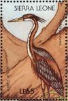 Colnect-1618-032-Purple-Heron-Ardea-purpurea.jpg