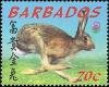 Colnect-2304-321-Hare-Lepus-sp.jpg