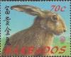 Colnect-2401-697-Hare-Lepus-sp.jpg