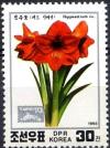 Colnect-3418-570-Hippeastrum-Sp.jpg