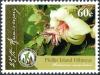 Colnect-3790-938-Philip-Island-Hibiscus-Hibiscus-insularis.jpg