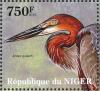 Colnect-4914-487-Goliath-Heron----Ardea-goliath.jpg