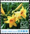 Colnect-5371-549-Daylily-Hemerocallis-esculenta.jpg