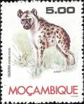 Colnect-1115-438-Spotted-Hyena-Crocuta-crocuta.jpg