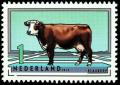 Colnect-1529-708-Groningen-White-headed-Bos-primigenius-taurus.jpg