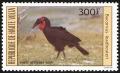 Colnect-1750-143-Southern-Ground-Hornbill-Bucorvus-leadbeateri.jpg