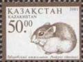 Colnect-196-622-Roborowski%E2%80%99s-Hamster-Phodopus-roborovskii.jpg