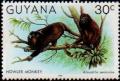 Colnect-4726-425-Howler-Monkey.jpg