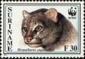 Colnect-4994-984-Jaguarundi-Herpailurus-yagouaroundi.jpg