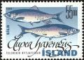 Colnect-5244-278-Atlantic-Herring-Clupea-harengus.jpg