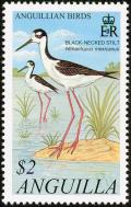 Colnect-579-818-Black-necked-Stilt-Himantopus-himantopus-mexicanus.jpg