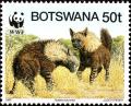 Colnect-6187-116-Brown-Hyena-Hyaena-brunnea.jpg