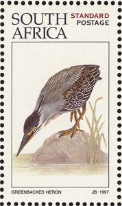 Colnect-1791-728-Striated-Heron-Butorides-striata.jpg