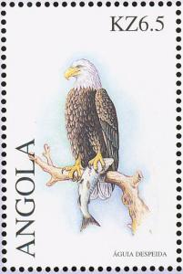 Colnect-1240-351-Bald-Eagle%C2%A0Haliae%C3%ABtus-leucocephalus.jpg