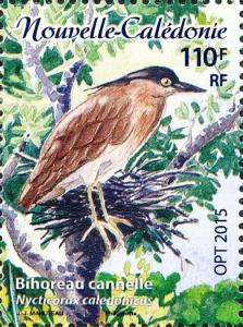 Colnect-2929-565-Nankeen-Night-Heron-Nycticorax-caledonicus.jpg