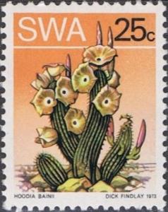 Colnect-3588-288-Hoodia-bainii.jpg