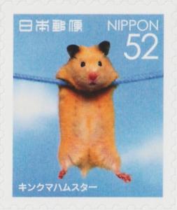 Colnect-5892-237-Kinka-Hamster-Cricetus-sp.jpg