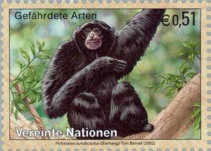 Colnect-139-249-Siamang-Hylobates-syndactylus.jpg