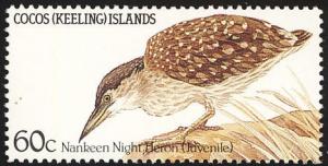 Colnect-1505-886-Nankeen-Night-Heron-Nycticorax-caledonicus.jpg