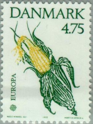 Colnect-157-247-Head-of-maize.jpg