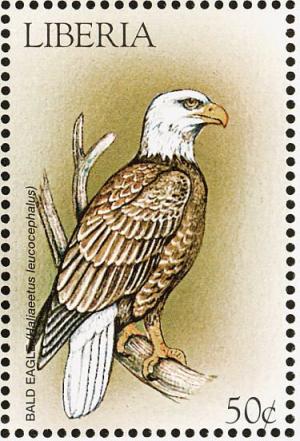 Colnect-1641-839-Bald-Eagle%C2%A0Haliae%C3%ABtus-leucocephalus.jpg