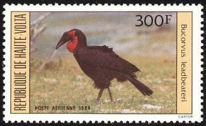 Colnect-1750-143-Southern-Ground-Hornbill-Bucorvus-leadbeateri.jpg