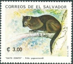 Colnect-2711-485-Jaguarundi-Herpailurus-yagouaroundi.jpg