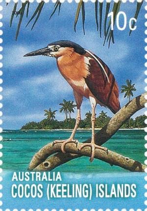 Colnect-2734-812-Nankeen-Night-Heron-Nycticorax-caledonicus.jpg