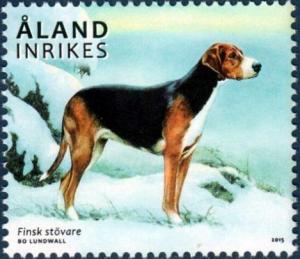 Colnect-3014-774-Finnish-Scent-Hound-Canis-lupus-familiaris.jpg