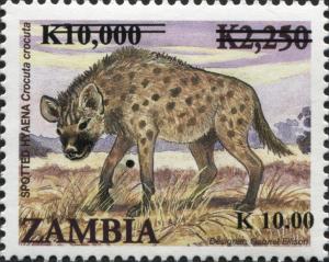 Colnect-3051-572-Spotted-Hyaena-Crocuta-crocuta.jpg