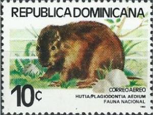 Colnect-3117-038-Hispanolian-Hutia-Plagiodontia-aedium.jpg