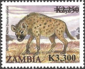 Colnect-3435-939-Spotted-Hyena-Crocuta-crocuta.jpg