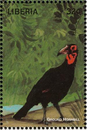 Colnect-3811-695-Southern-Ground-Hornbill-Bucorvus-leadbeateri.jpg