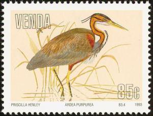 Colnect-751-657-Purple-Heron-Ardea-purpurea.jpg