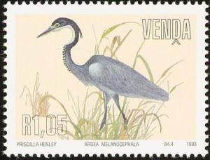 Colnect-751-658-Black-headed-Heron-Ardea-melanocephala.jpg